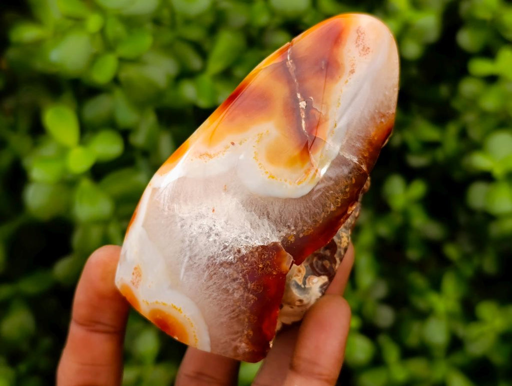 Polished Carnelian Standing Free Forms x 5 From Madagascar - Toprock Gemstones and Minerals 