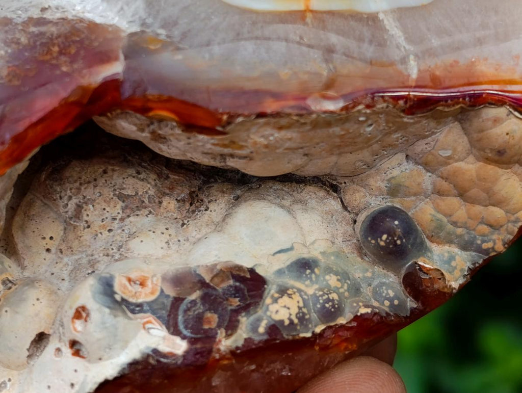 Polished Carnelian Standing Free Forms x 5 From Madagascar - Toprock Gemstones and Minerals 