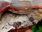 Polished Carnelian Standing Free Forms x 5 From Madagascar - Toprock Gemstones and Minerals 