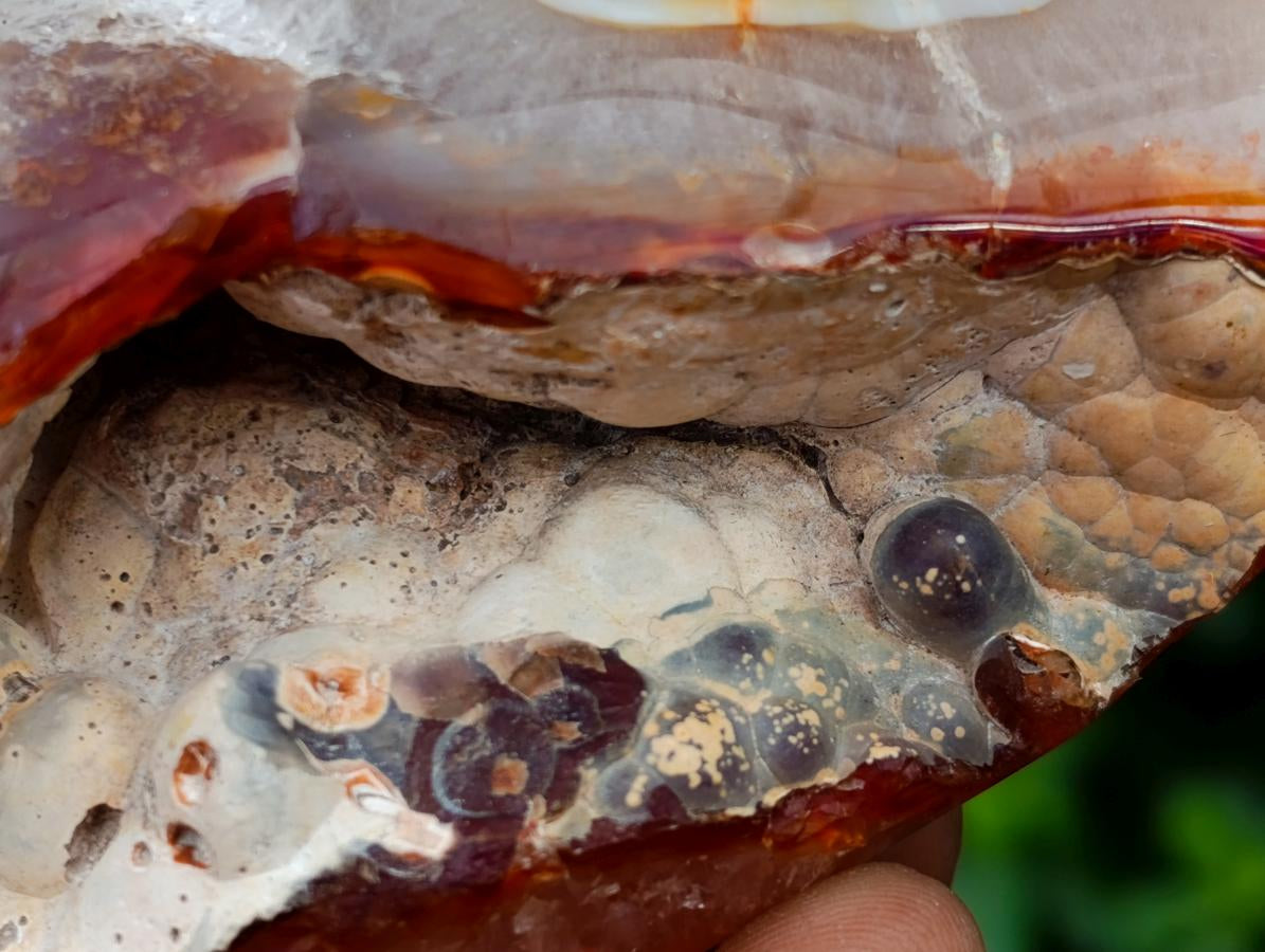 Polished Carnelian Standing Free Forms x 5 From Madagascar - Toprock Gemstones and Minerals 