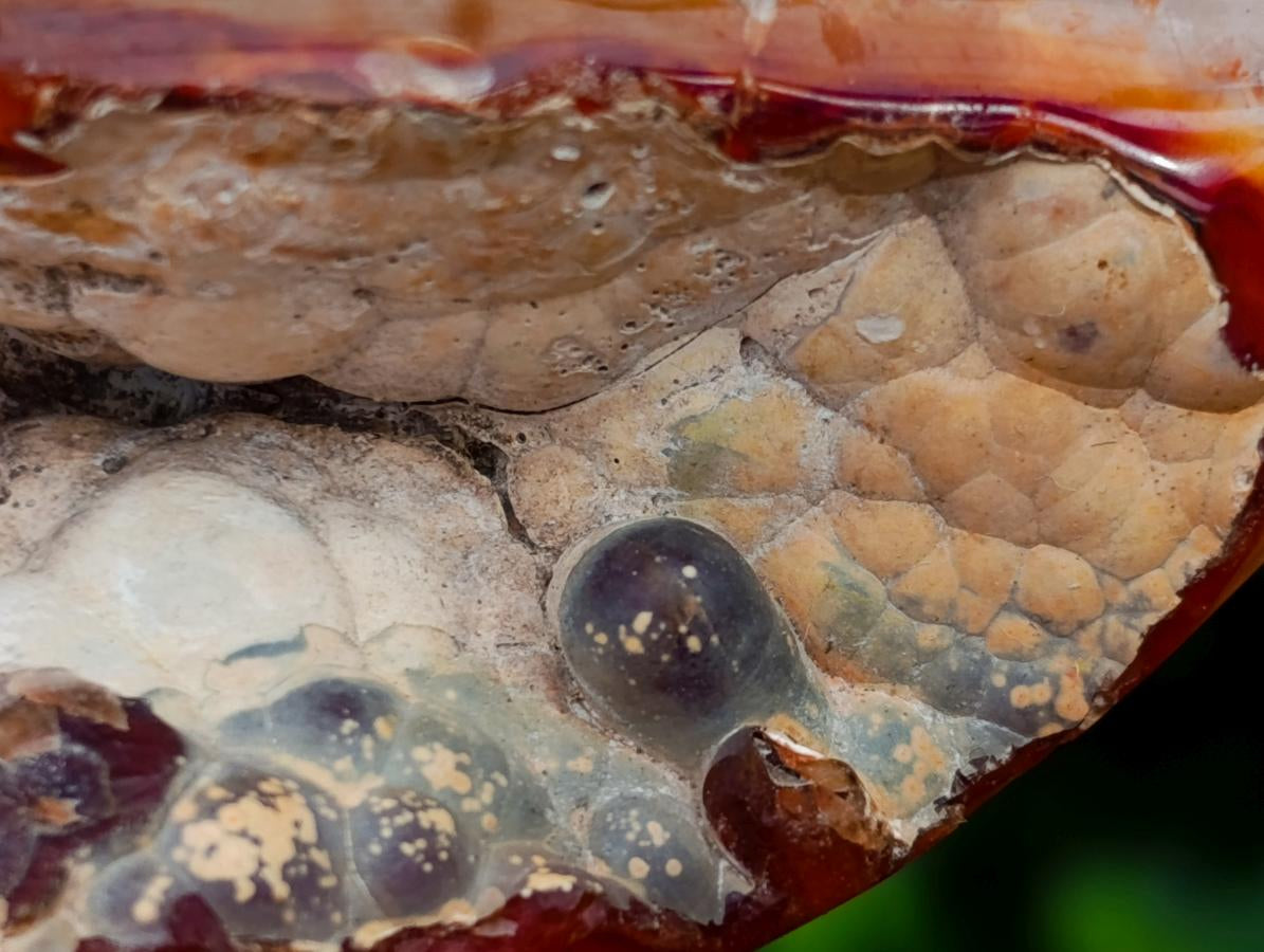 Polished Carnelian Standing Free Forms x 5 From Madagascar - Toprock Gemstones and Minerals 