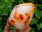 Polished Carnelian Standing Free Forms x 5 From Madagascar - Toprock Gemstones and Minerals 