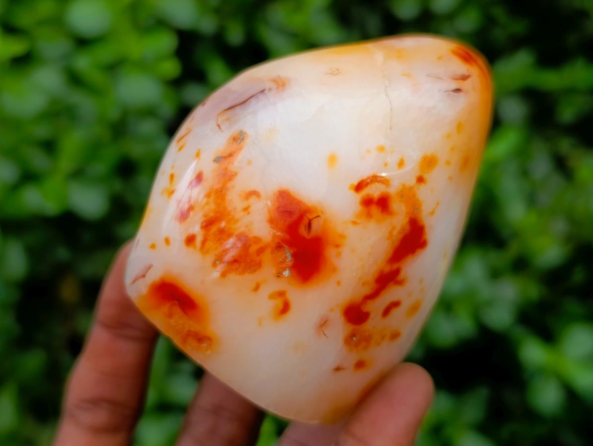 Polished Carnelian Standing Free Forms x 5 From Madagascar - Toprock Gemstones and Minerals 