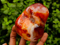 Polished Carnelian Standing Free Forms x 5 From Madagascar