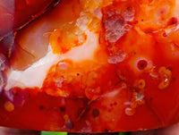 Polished Carnelian Standing Free Forms x 5 From Madagascar