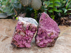 Natural Salrose Specimens x 6 From Kakanda Congo - Toprock Gemstones and Minerals 