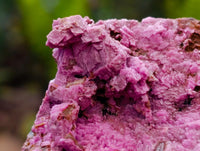 Natural Salrose Specimens x 6 From Kakanda Congo