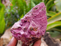 Natural Salrose Specimens x 6 From Kakanda Congo