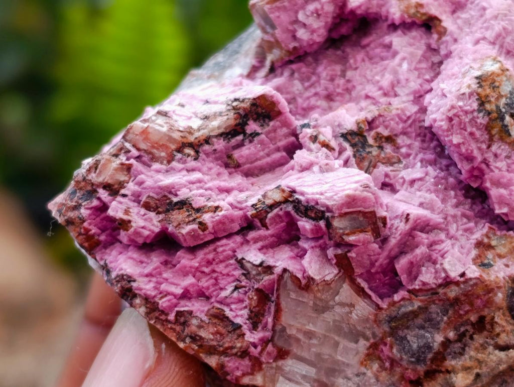 Natural Salrose Specimens x 6 From Kakanda Congo - Toprock Gemstones and Minerals 