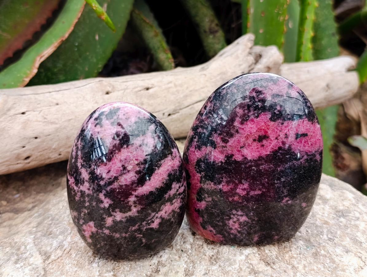 Polished Pink Rhodonite Standing Free Forms x 6 From Madagascar - Toprock Gemstones and Minerals 