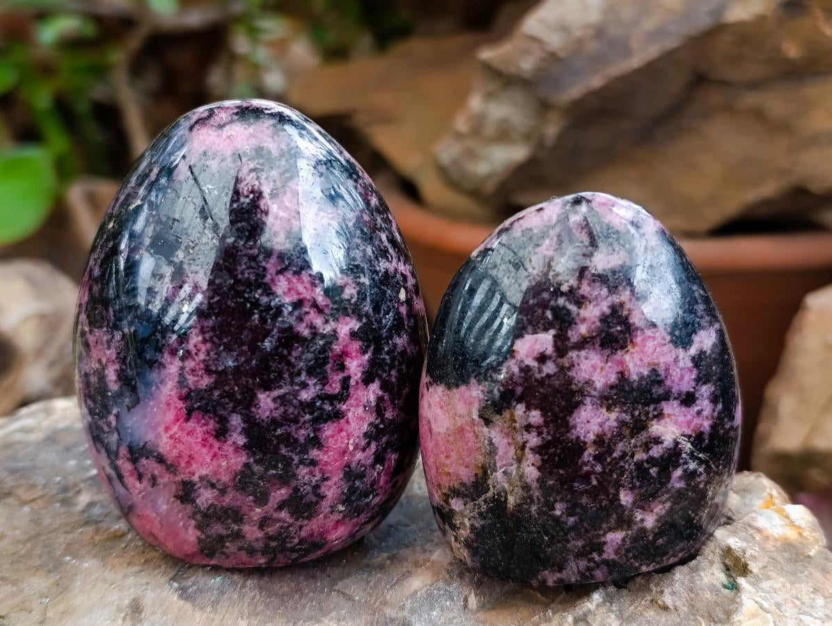 Polished Pink Rhodonite Standing Free Forms x 6 From Madagascar - Toprock Gemstones and Minerals 
