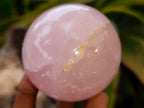 Polished Star Rose Quartz Spheres x 2 From Madagascar