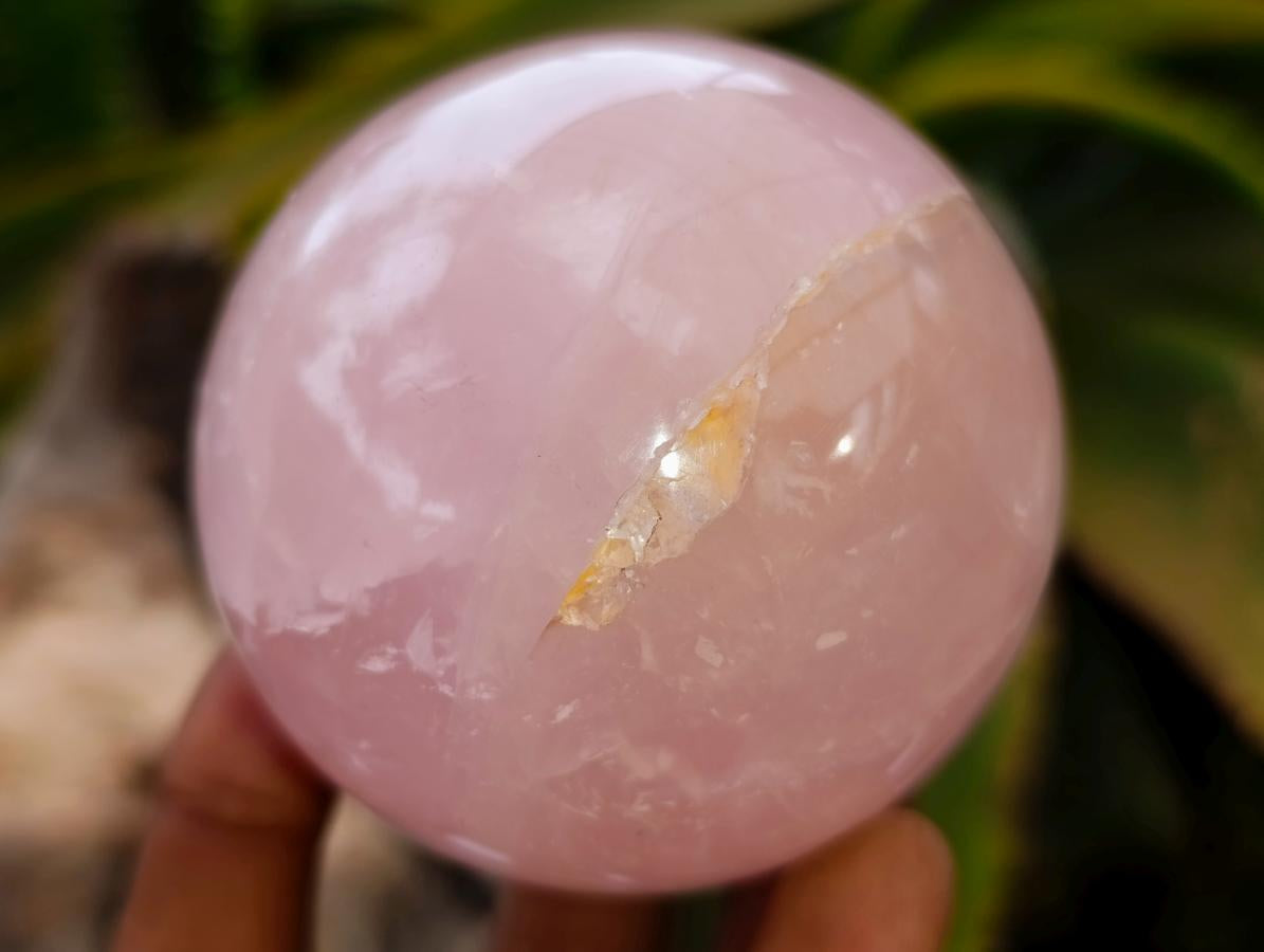 Polished Star Rose Quartz Spheres x 2 From Madagascar