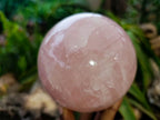 Polished Star Rose Quartz Spheres x 2 From Madagascar