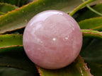 Polished Star Rose Quartz Spheres x 2 From Madagascar