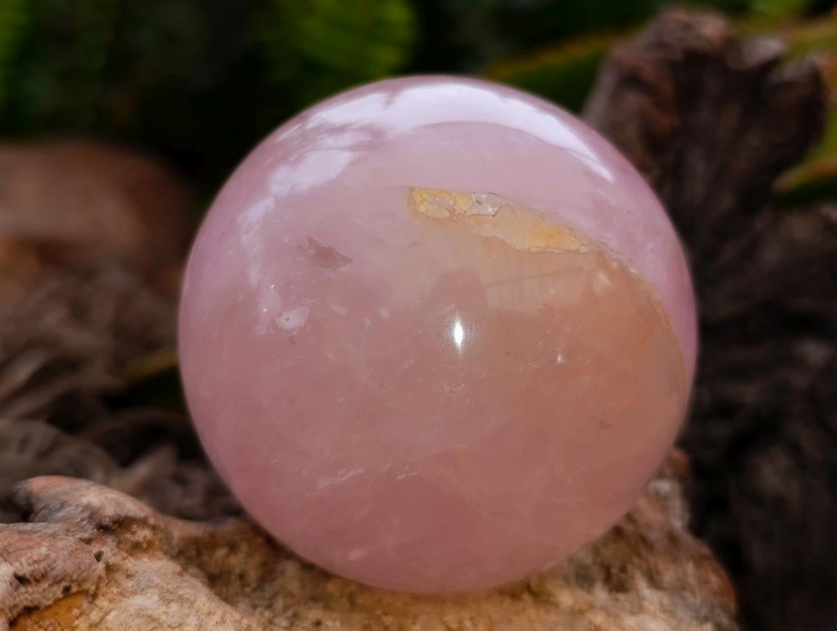 Polished Star Rose Quartz Spheres x 2 From Madagascar