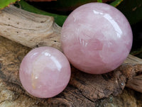 Polished Star Rose Quartz Spheres x 2 From Madagascar