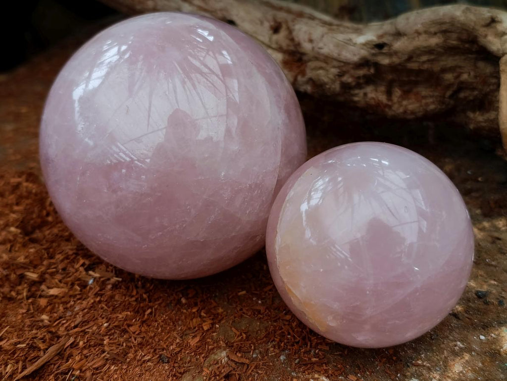 Polished Star Rose Quartz Spheres x 2 From Madagascar