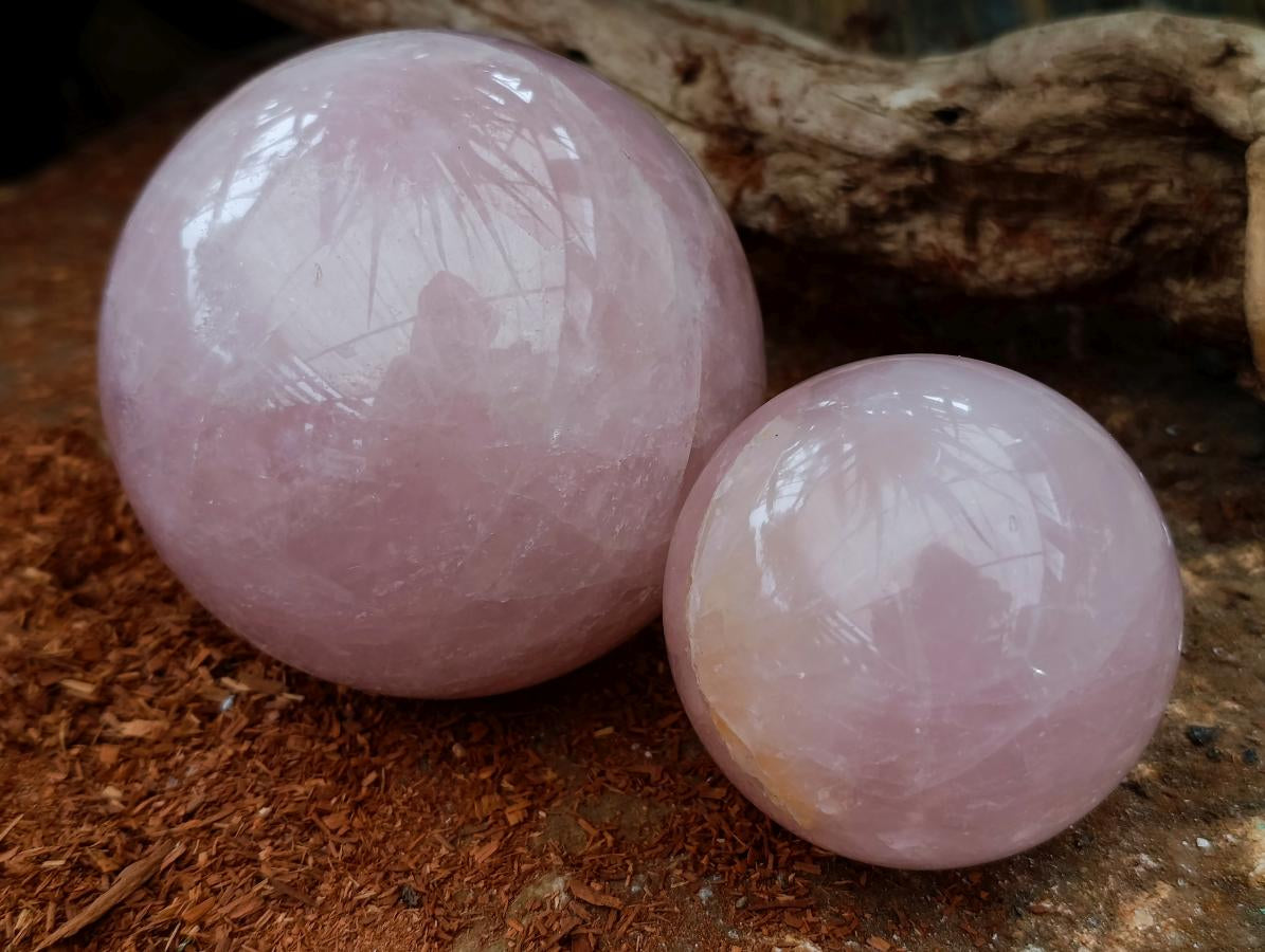 Polished Star Rose Quartz Spheres x 2 From Madagascar