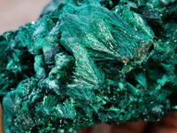 Natural Silky Malachite Specimens x 4 From Kasompe, Congo