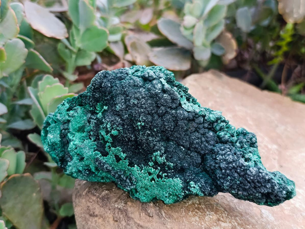 Natural Silky Malachite Specimens x 4 From Kasompe, Congo - Toprock Gemstones and Minerals 