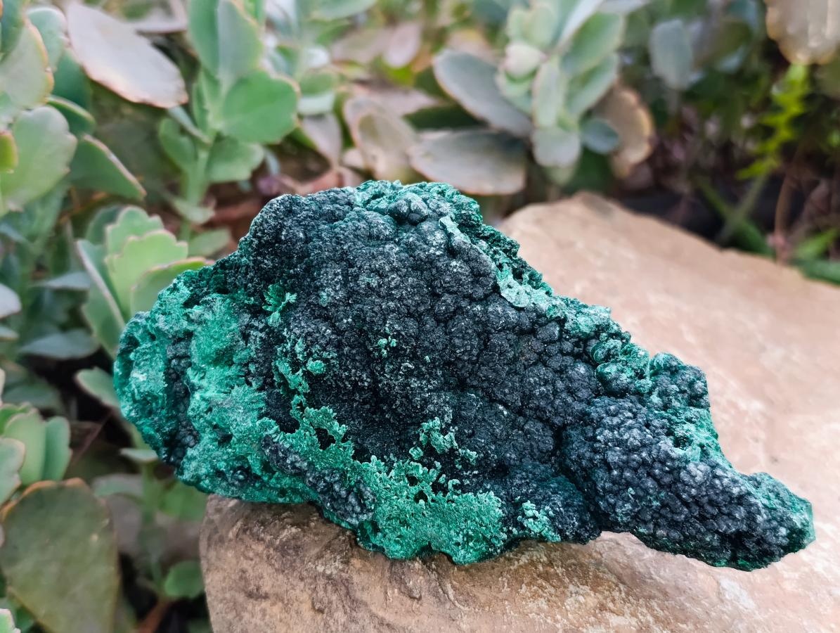 Natural Silky Malachite Specimens x 4 From Kasompe, Congo - Toprock Gemstones and Minerals 