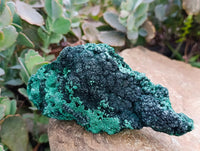 Natural Silky Malachite Specimens x 4 From Kasompe, Congo