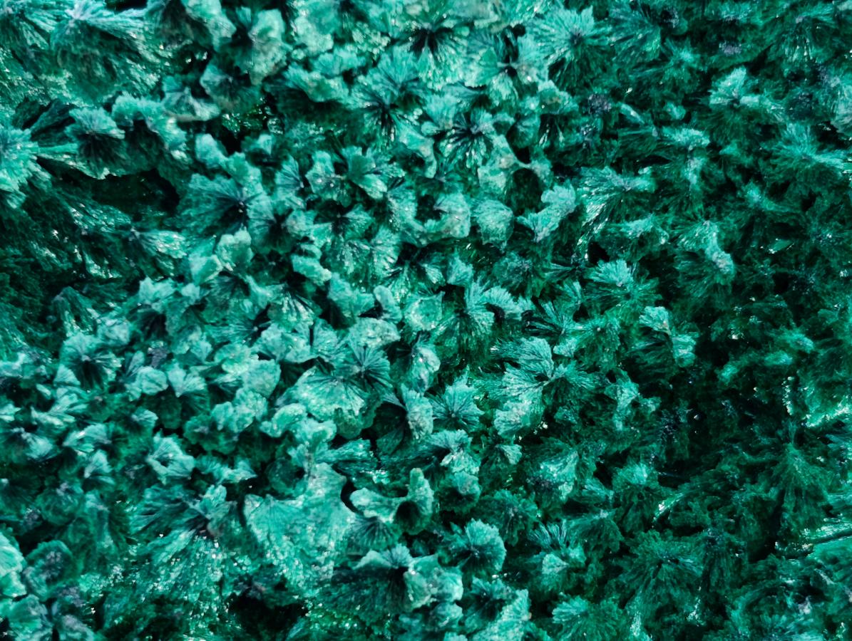 Natural Silky Malachite Specimens x 4 From Kasompe, Congo - Toprock Gemstones and Minerals 