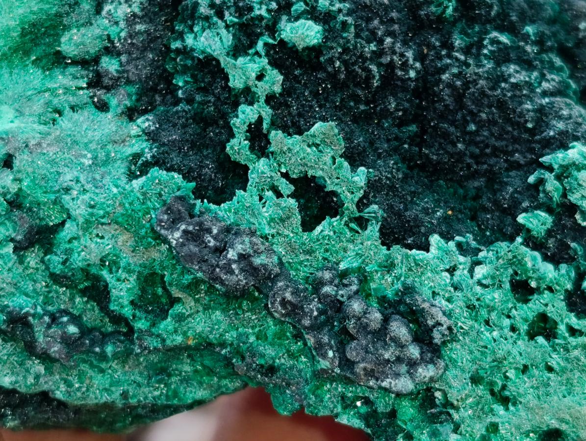 Natural Silky Malachite Specimens x 4 From Kasompe, Congo - Toprock Gemstones and Minerals 