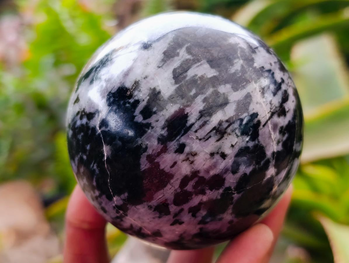 Polished Gabbro 'Merlinite' Spheres x 2 From Madagascar