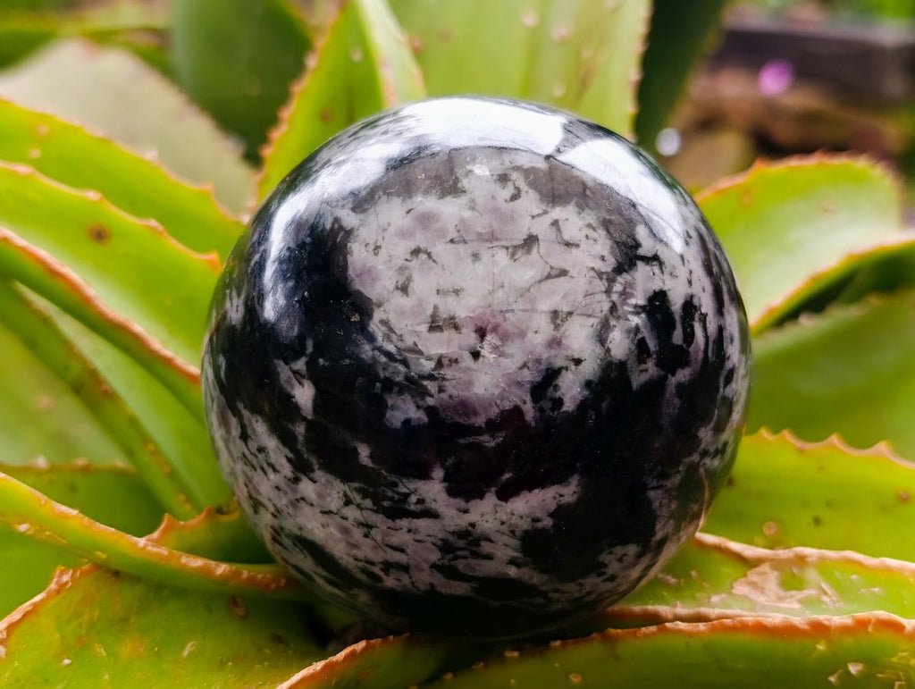 Polished Gabbro 'Merlinite' Spheres x 2 From Madagascar - Toprock Gemstones and Minerals 