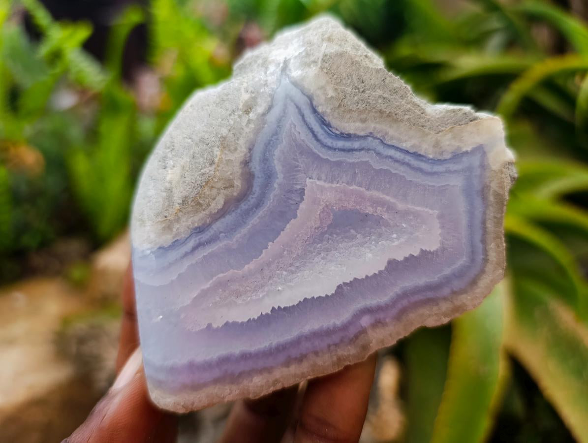 Polished On One Side Blue Lace Agate Geodes x 6 From Nsanje, Malawi