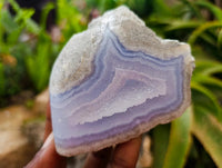 Polished On One Side Blue Lace Agate Geodes x 6 From Nsanje, Malawi