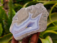 Polished On One Side Blue Lace Agate Geodes x 6 From Nsanje, Malawi