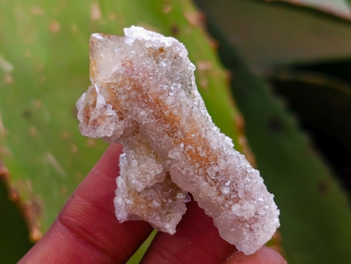Natural Small Limonite Fairy Spirit Quartz Crystals x 70 From Boekenhouthoek, South Africa