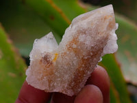 Natural Small Limonite Fairy Spirit Quartz Crystals x 70 From Boekenhouthoek, South Africa
