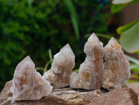 Natural Small Limonite Fairy Spirit Quartz Crystals x 70 From Boekenhouthoek, South Africa