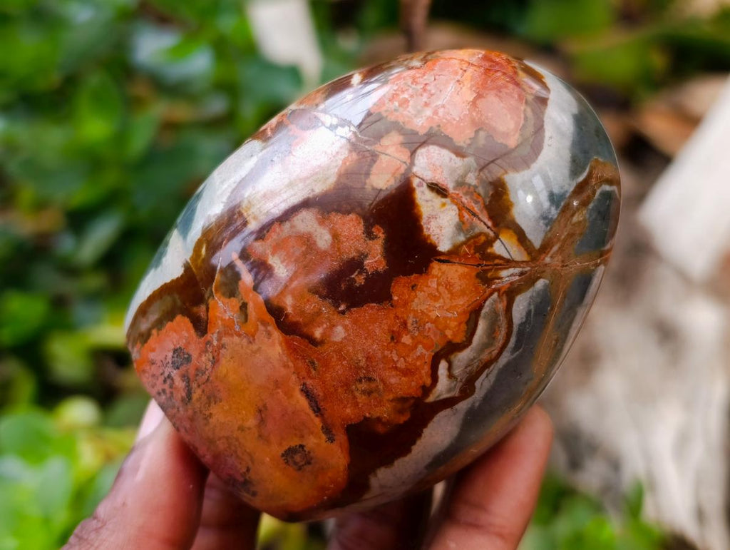 Polished Polychrome Jasper Standing Free Forms x 6 From NW Coast, Madagascar - Toprock Gemstones and Minerals 