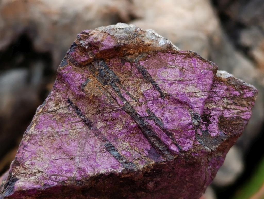 Natural Metallic Purpurite Specimens x 12 From Erongo, Namibia - Toprock Gemstones and Minerals 