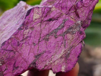Natural Metallic Purpurite Specimens x 12 From Erongo, Namibia