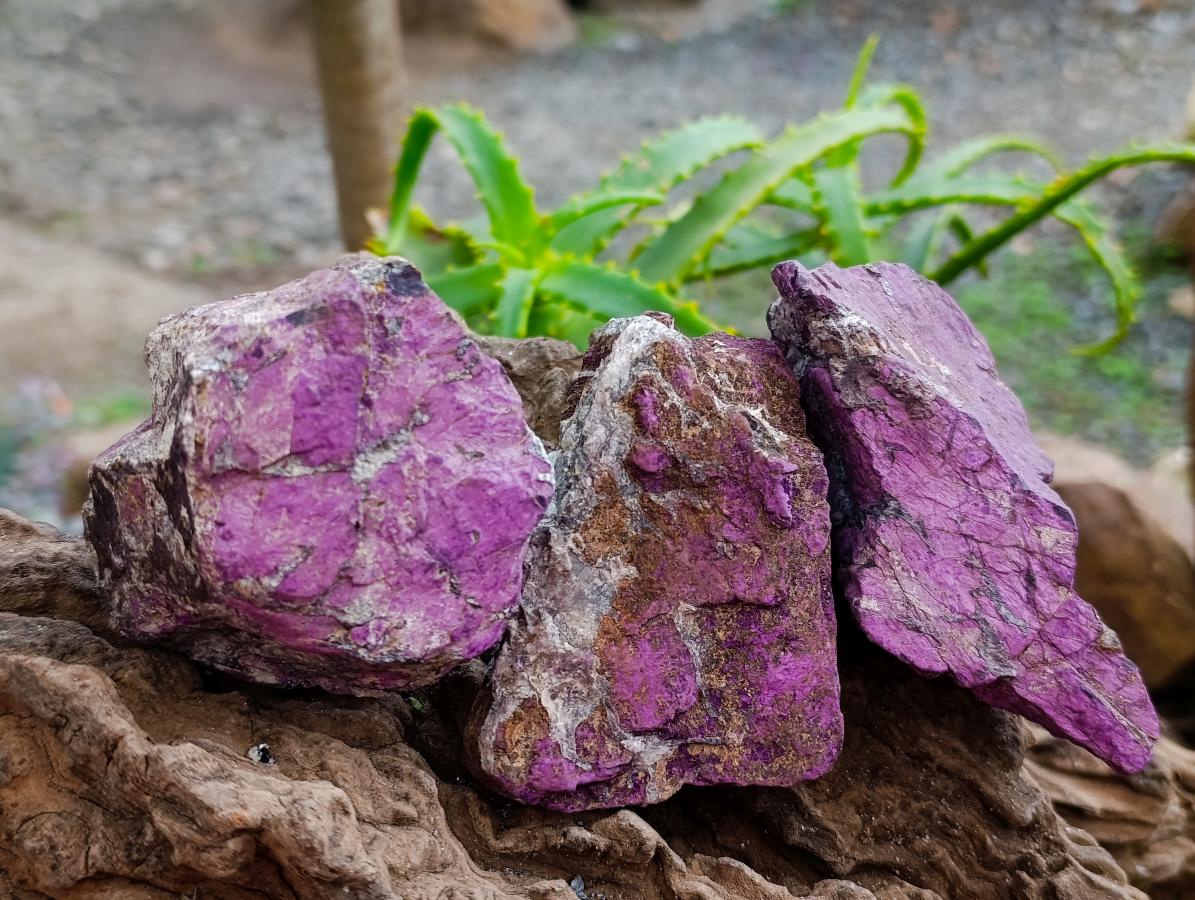 Natural Metallic Purpurite Specimens x 12 From Erongo, Namibia