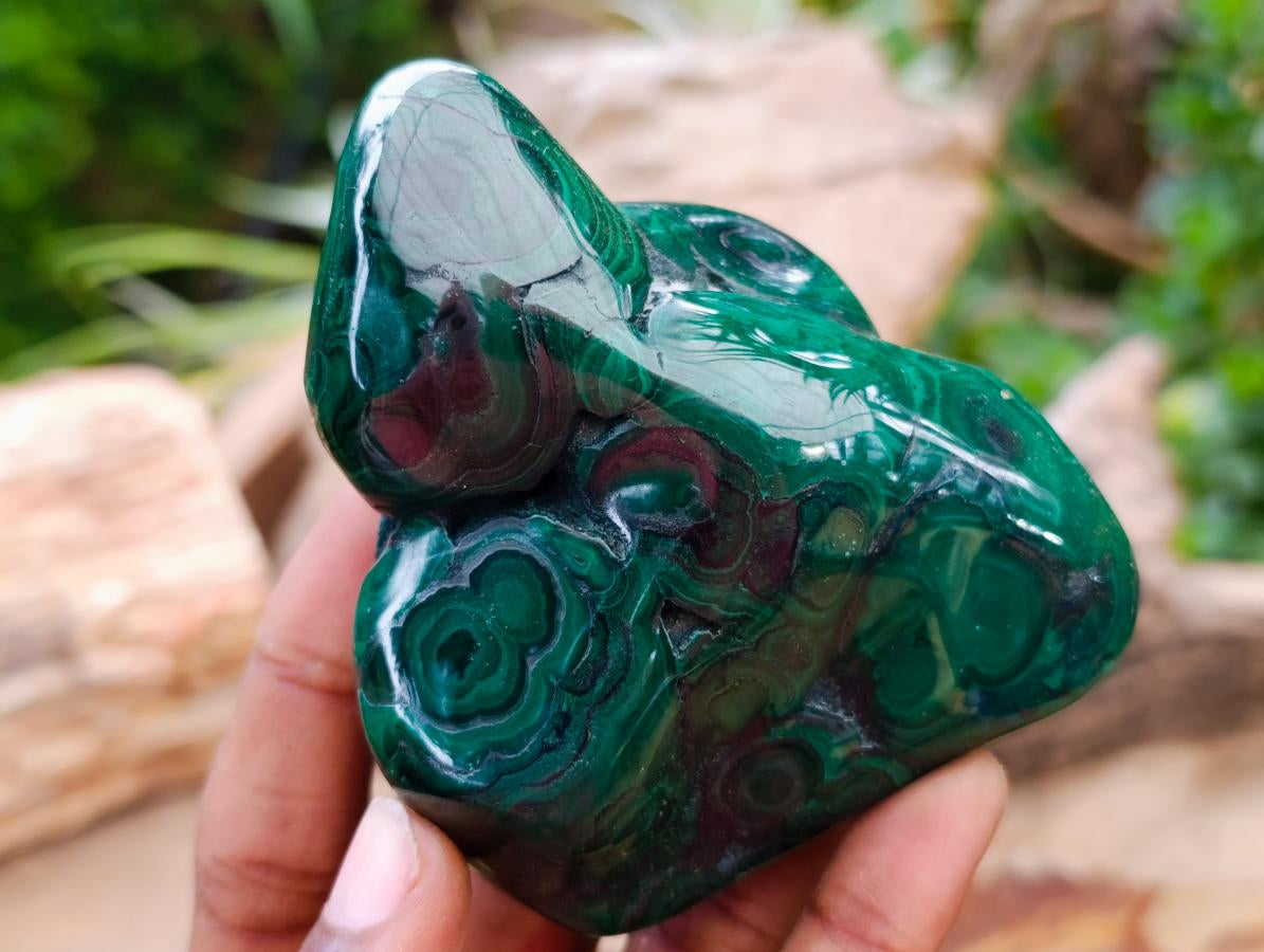 Polished Flower Banded Malachite Free Forms x 3 From Congo - Toprock Gemstones and Minerals 