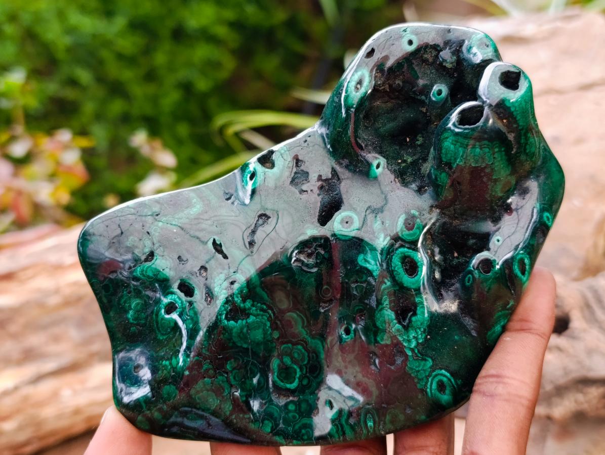 Polished Flower Banded Malachite Free Forms x 3 From Congo - Toprock Gemstones and Minerals 