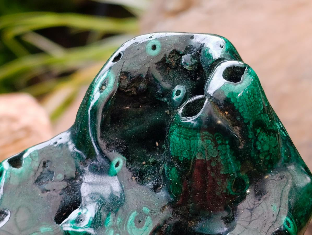 Polished Flower Banded Malachite Free Forms x 3 From Congo - Toprock Gemstones and Minerals 