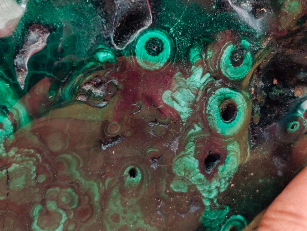 Polished Flower Banded Malachite Free Forms x 3 From Congo - Toprock Gemstones and Minerals 
