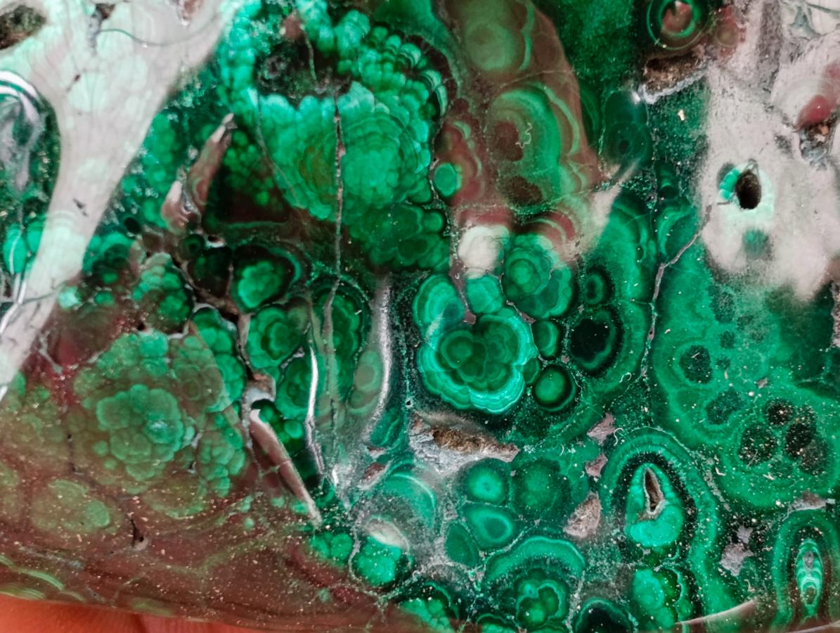 Polished Flower Banded Malachite Free Forms x 3 From Congo