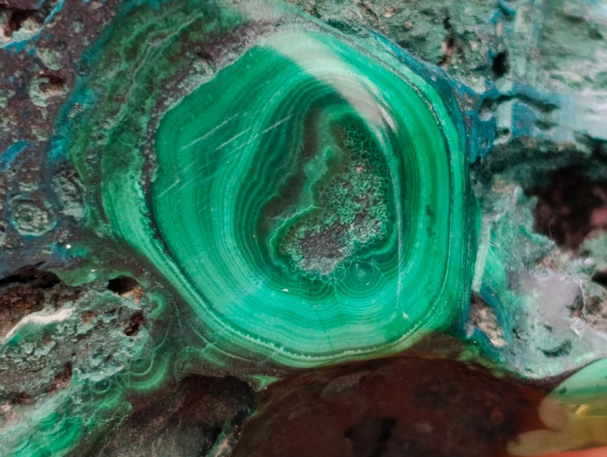 Polished Flower Banded Malachite Free Forms x 3 From Congo - Toprock Gemstones and Minerals 