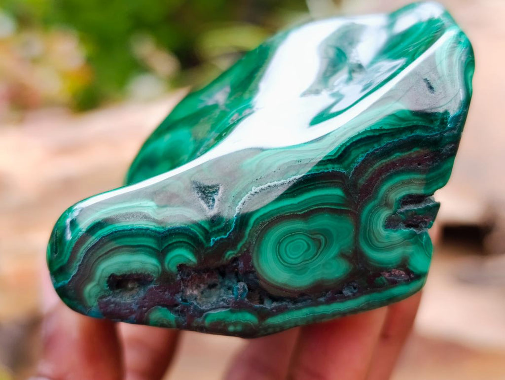 Polished Flower Banded Malachite Free Forms x 3 From Congo - Toprock Gemstones and Minerals 