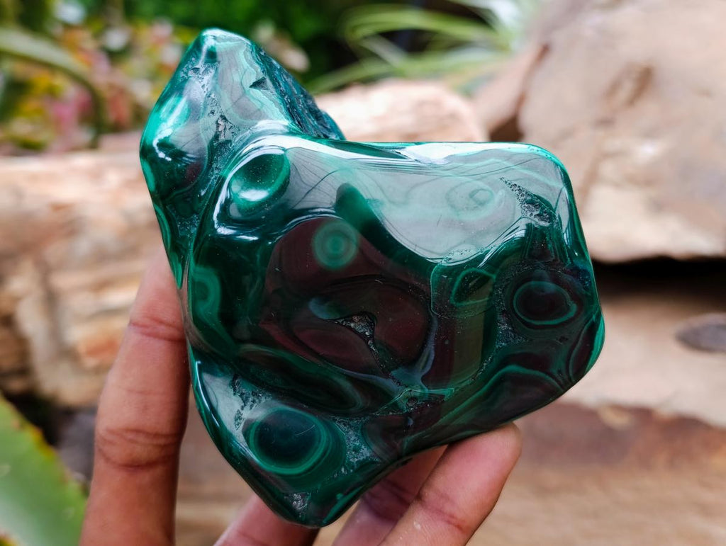 Polished Flower Banded Malachite Free Forms x 3 From Congo - Toprock Gemstones and Minerals 