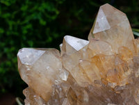 Natural Clear Citrine Quartz Cluster x 1 From Luena, Congo